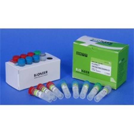 Buy Bioneer AccuRapid Cell-Free Protein Expression Kit in NZ. 