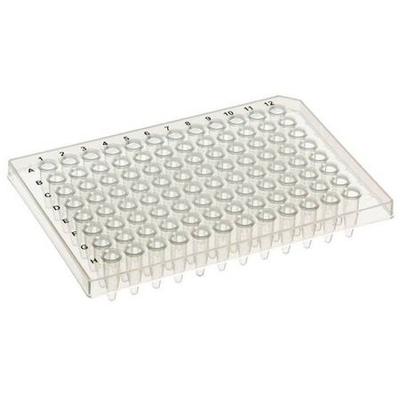 Buy SSI semi-skirted PCR plate, 96 well, std well, A12 cut corner, red in NZ. 