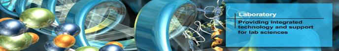 pall_p1.jpg