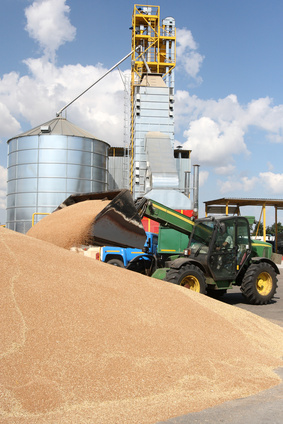 Bulk food.jpg