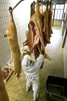 Meat processing.jpg