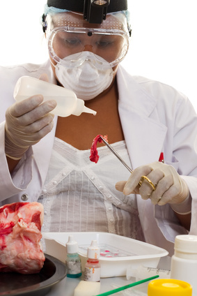 Meat testing.jpg