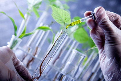 Plant science.jpg