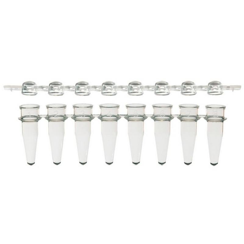 SSI 8-strip PCR tubes + 8-strip dome caps, clear, assorted colours or white