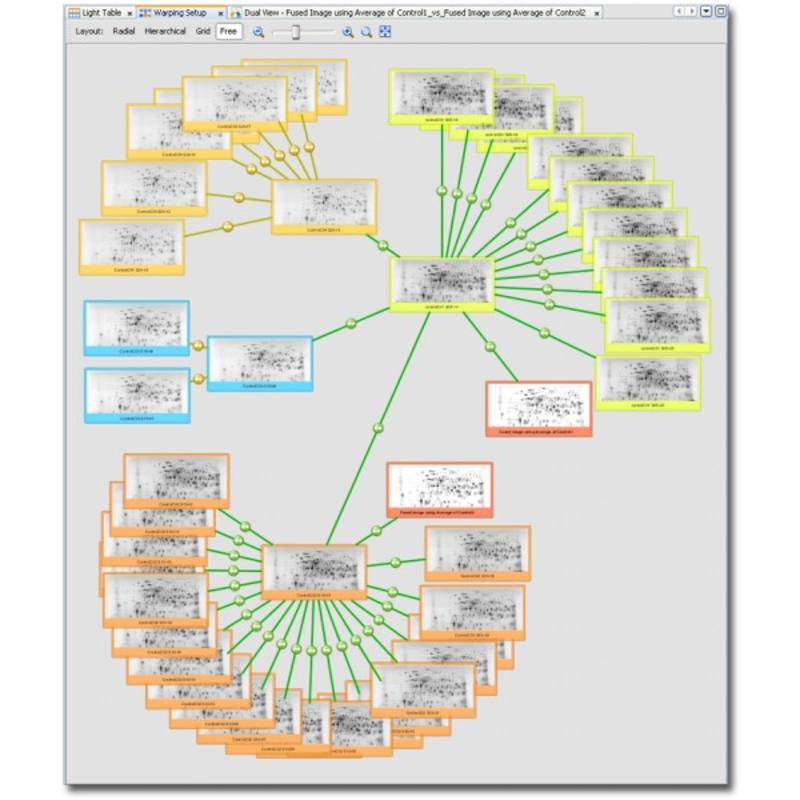 Decodon Delta 2D Gel Analysis Software