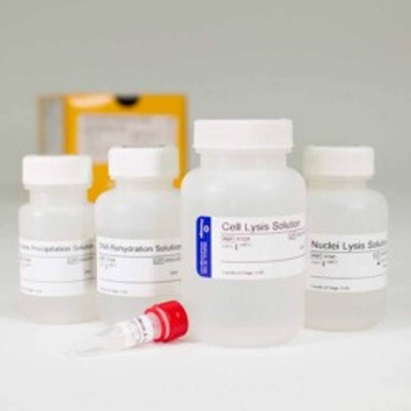 Wizard(R) Genomic DNA Purification Kit, 100 Isolations