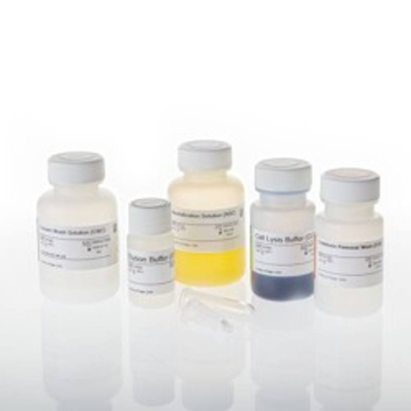 PureYield(TM) Plasmid Miniprep System, 100 preps