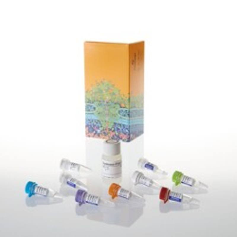 Access RT-PCR System