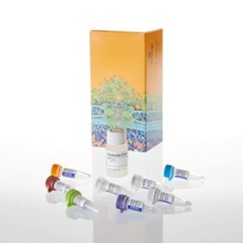 Access RT-PCR Introductory System