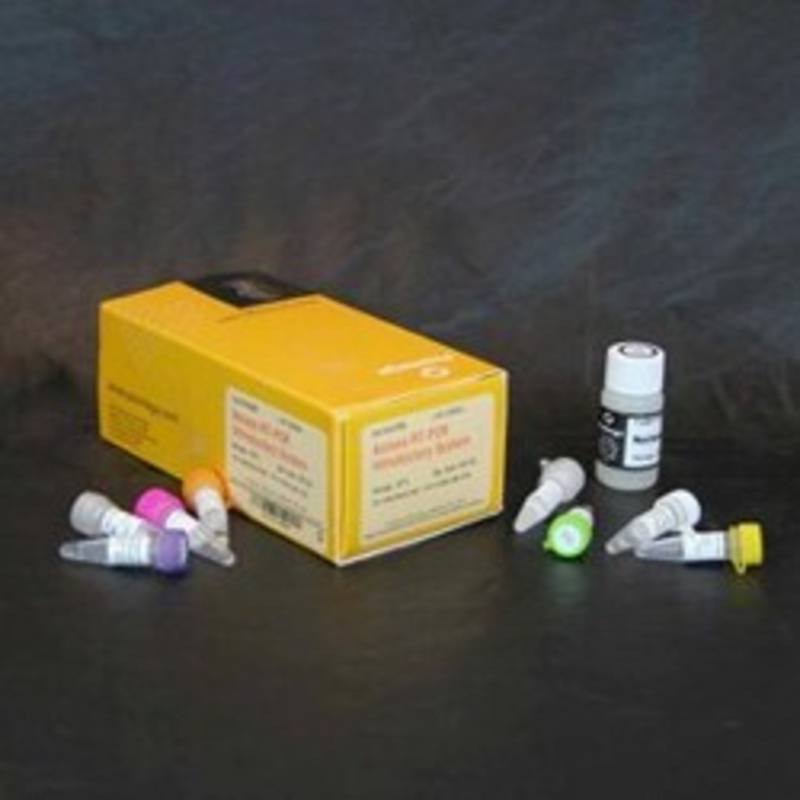 Access RT-PCR System, 500 Reactions