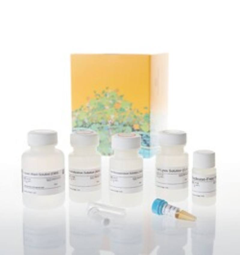 Wizard(R) Plus SV Minipreps DNA Purif. System, 50 preps