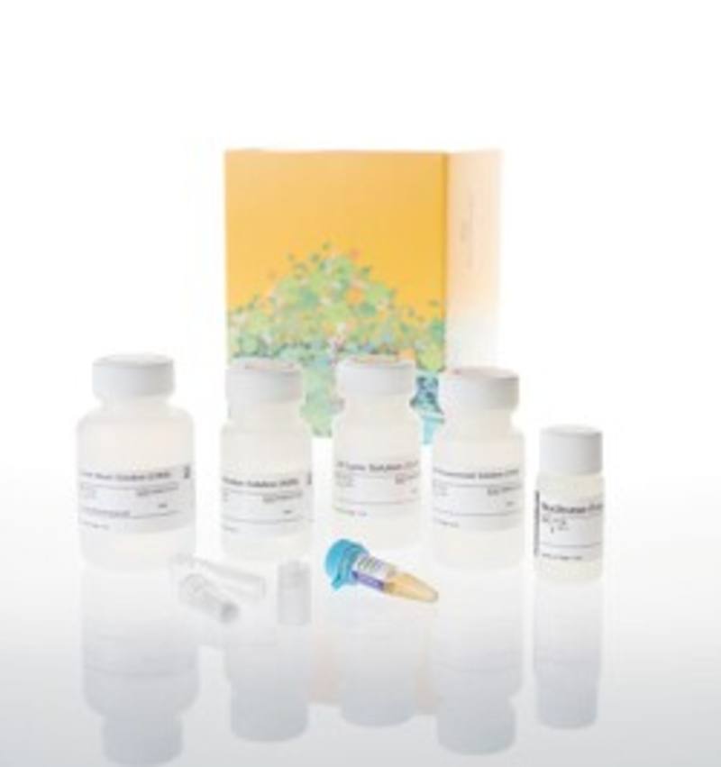 Wizard(R) Plus SV Miniprep DNA Purif. Sys., 50 preps w/Adp.