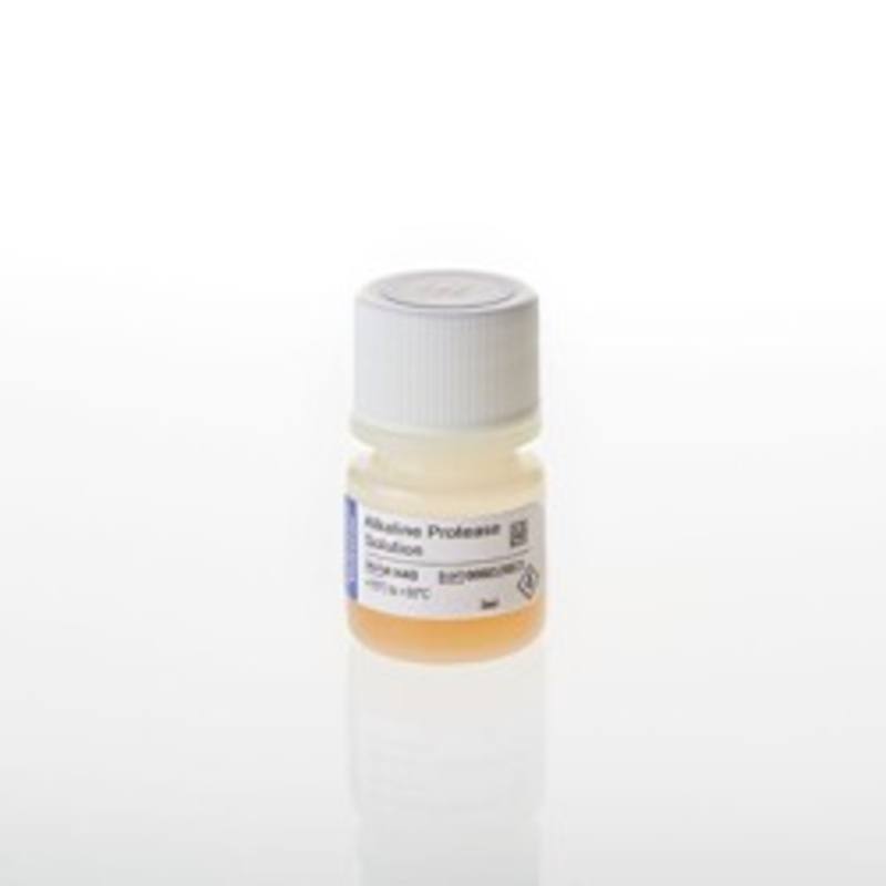 Alkaline Protease Solution, 3ml