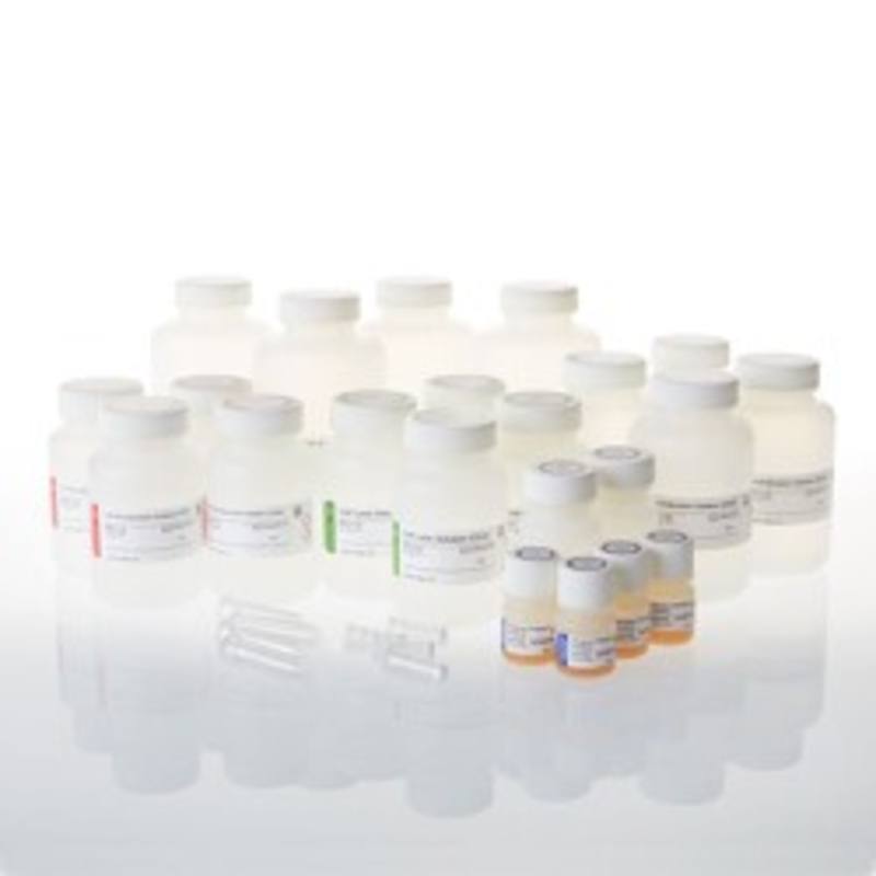 Wizard(R) Plus SV Minipreps DNA Purif. System, 1000 preps