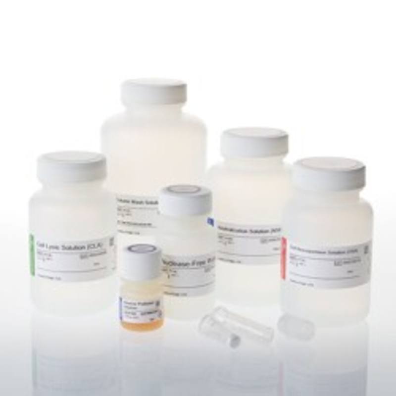 Wizard(R) Plus SV Miniprep DNA Purif. Sys., 250 preps w/Adp.