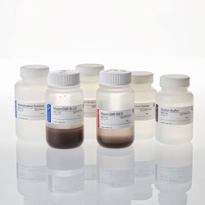 Wizard(R) MagneSil(R) Plasmid Purification System, 8 X 96