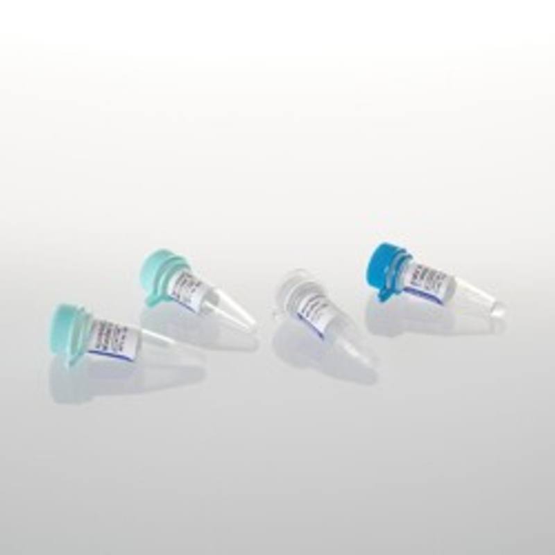 AccessQuick(TM) RT-PCR System, 20 reactions