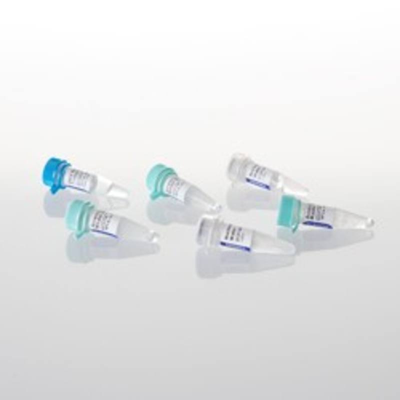 AccessQuick(TM) RT-PCR System, 100 reactions