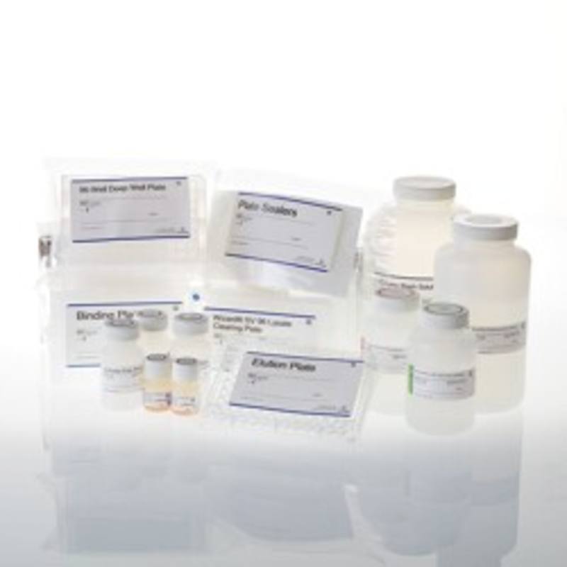 Wizard(R) SV 96 Plasmid DNA Purification System, 5 x 96