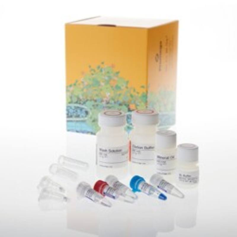ReliaPrep(TM) FFPE gDNA Miniprep System, 10 Reactions