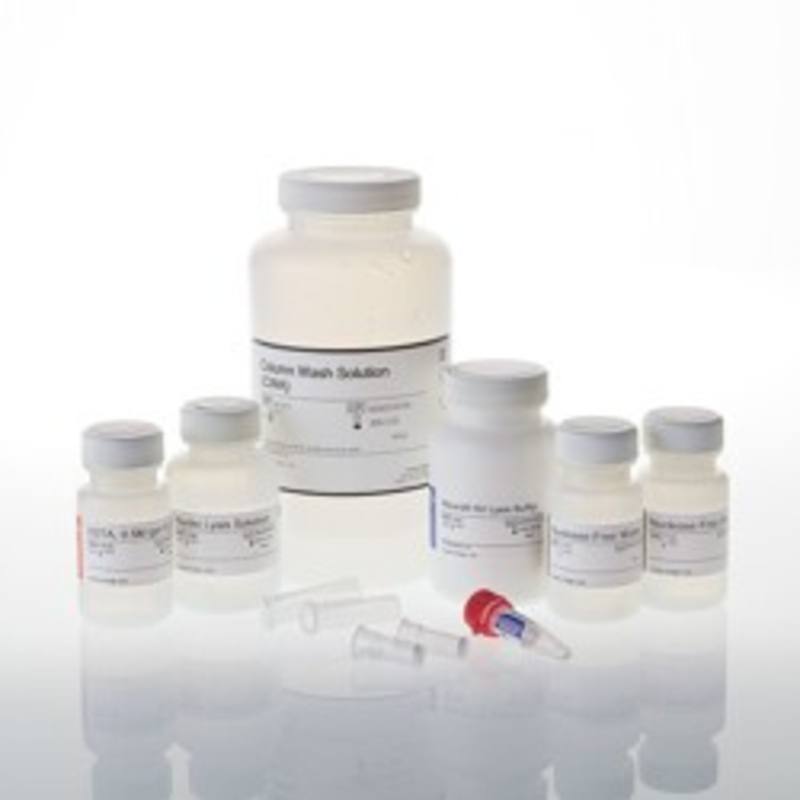 Wizard(R) SV Genomic DNA Purification System, 50 preps
