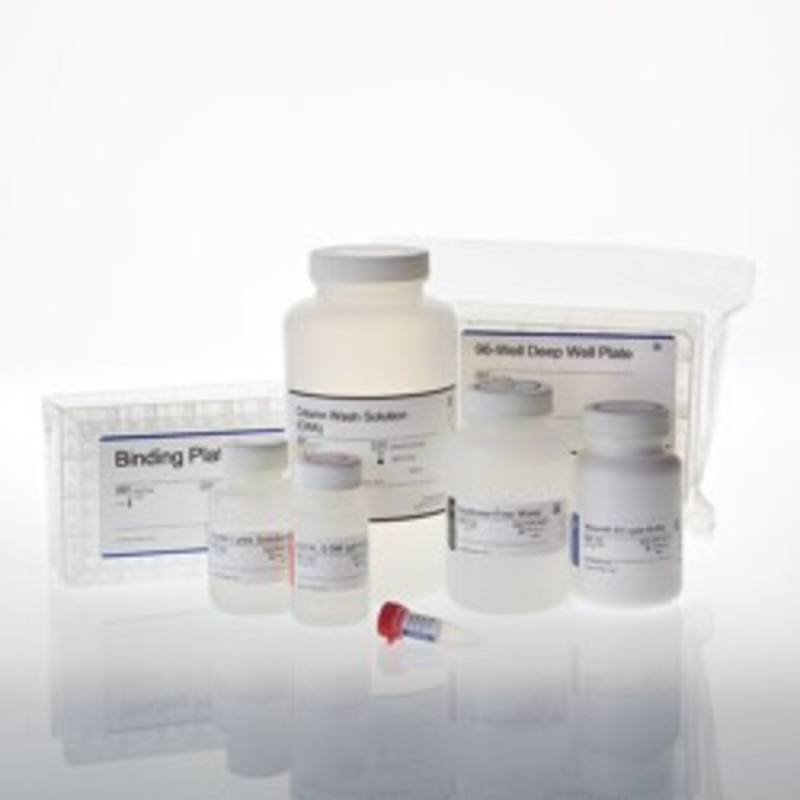 Wizard(R) SV 96 Genomic DNA Purification System, 1 x 96