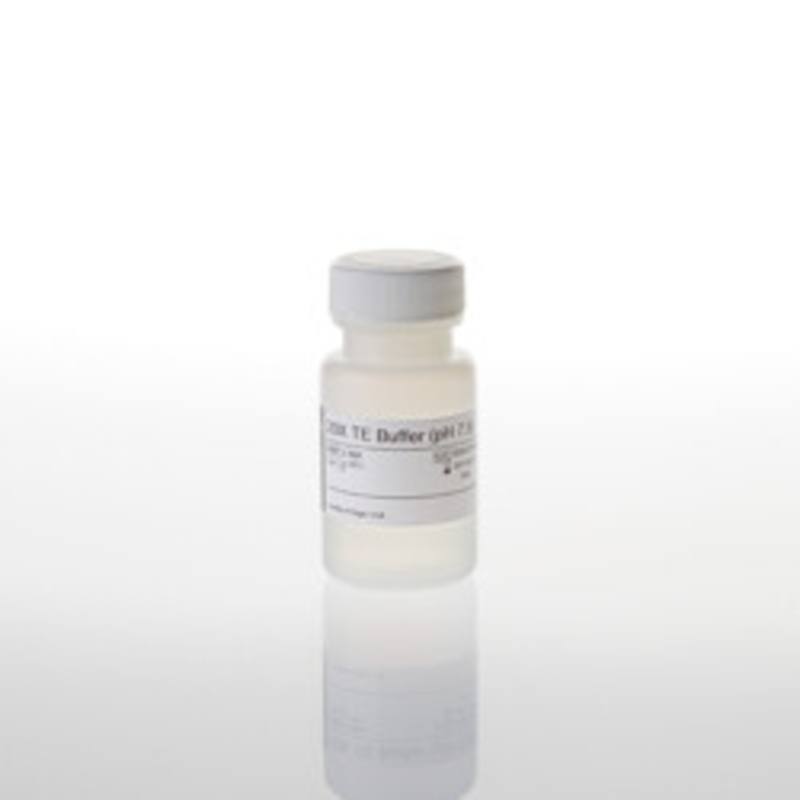 20X TE Buffer, pH 7.5, 25ml