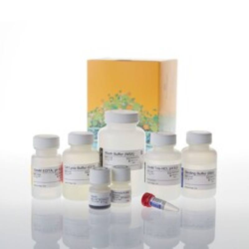 Maxwell(R) HT 96 gDNA Blood, 1x96 preps