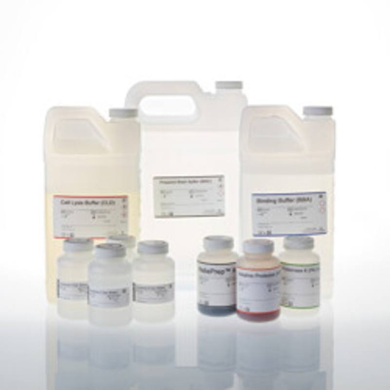 ReliaPrep(TM) Large Volume HT gDNA System
