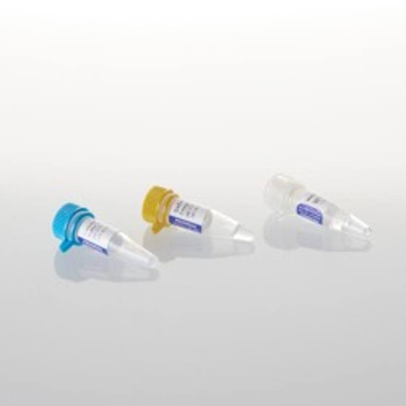 GoScript(TM) Reverse Transcription Mix, Oligo(dT) 50 Rxns