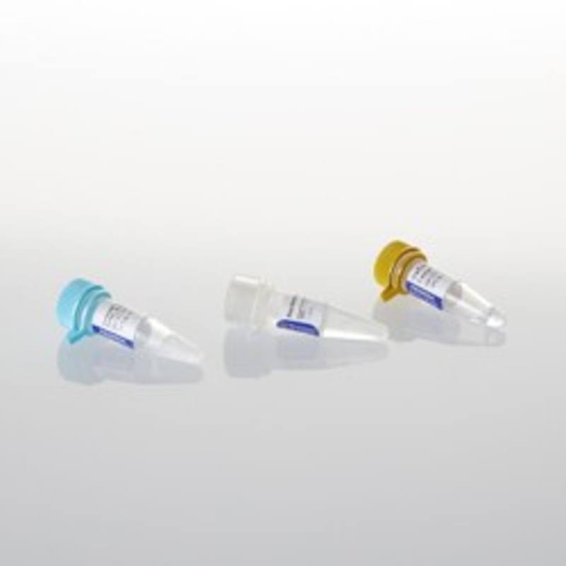 GoScript(TM) Reverse Transcription Mix, Random Primers, 50