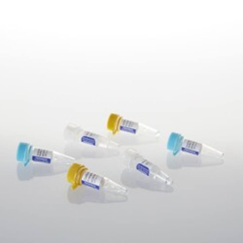 GoScript(TM) Reverse Transcription Mix, Random Primers, 100