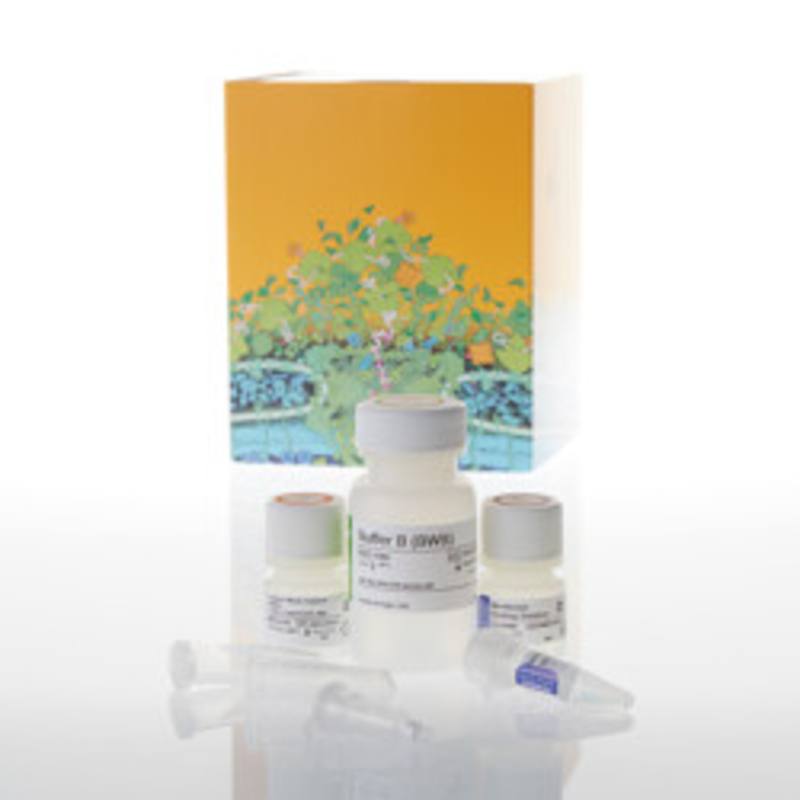 ReliaPrep(TM) DNA Clean-up and Concentration System, 10 Prep
