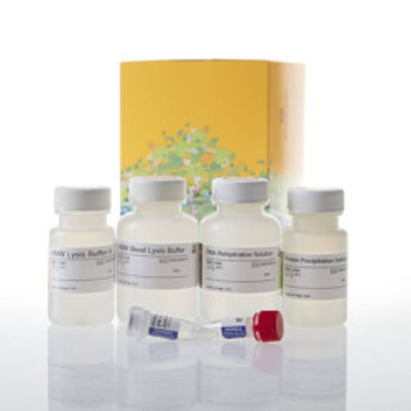 Wizard(R) HMW DNA Extraction Kit, 50 preps