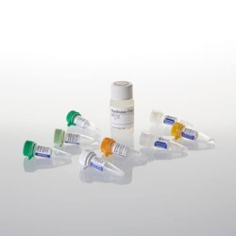 Reverse Transcription System