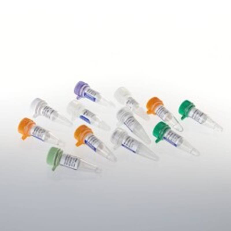ImProm-II(TM) Reverse Transcription System, 100 reactions