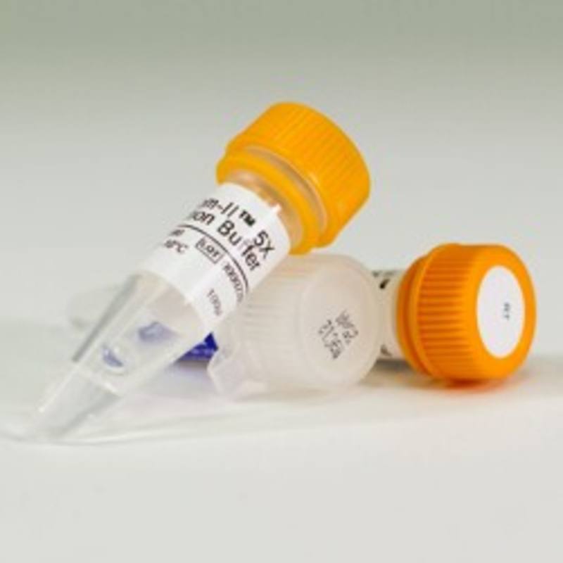 ImProm-II(TM) Reverse Transcriptase, 10 Reaction Sample