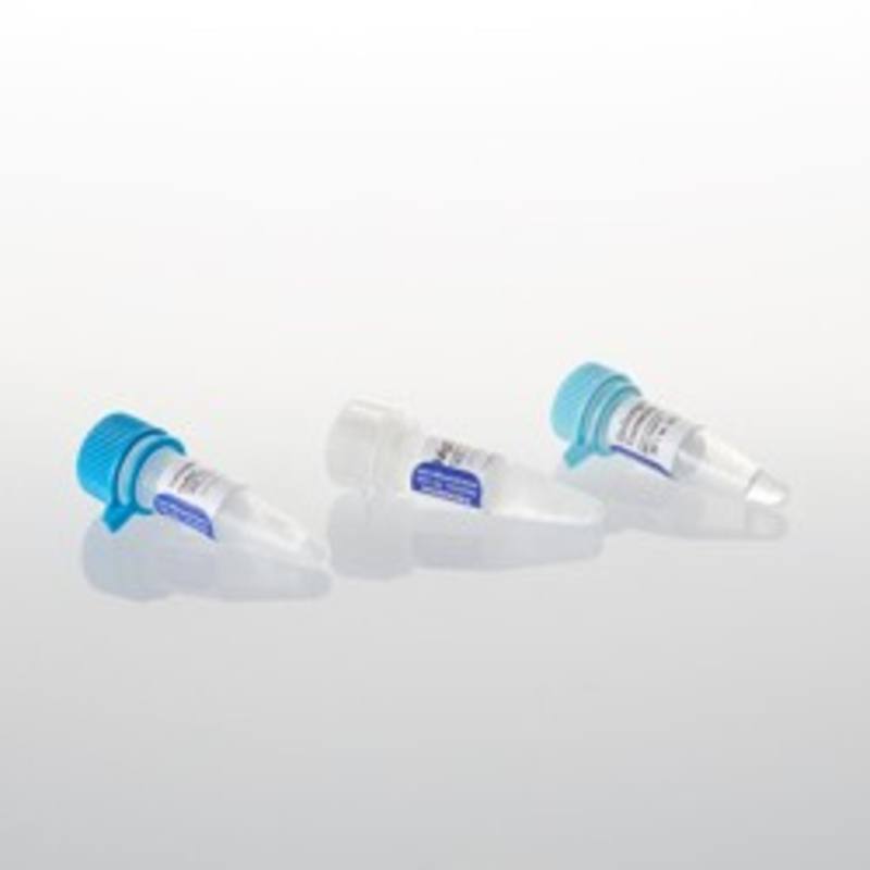GoScript(TM) Reverse Transcriptase, 100 rxn