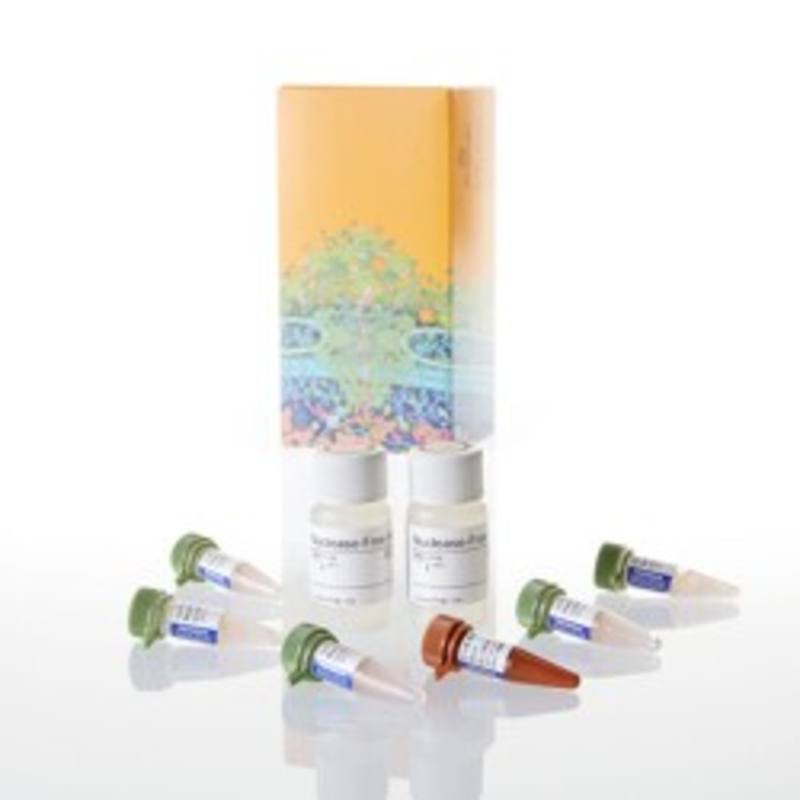 GoTaq(R) qPCR Master Mix, 5ml