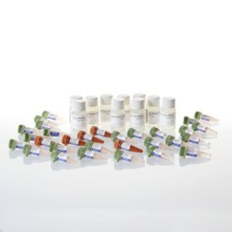 GoTaq(R) qPCR Master Mix, 25ml