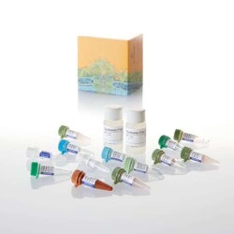 GoTaq(R) 2-Step RT-qPCR System, 5ml