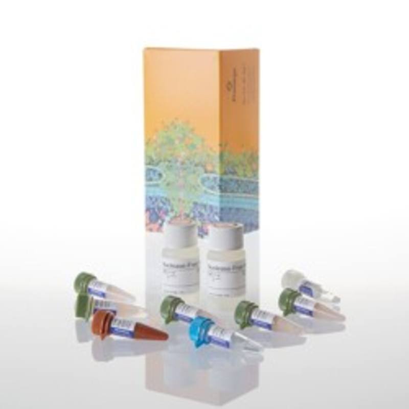 GoTaq(R) 1-Step RT-qPCR System, 5ml
