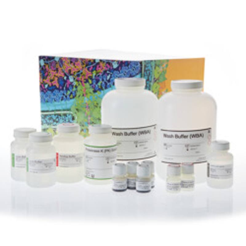 Maxwell(R) HT Fecal Microbiome DNA Kit