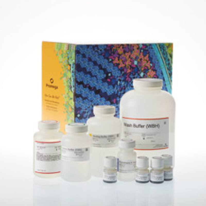 Maxwell(R) HT Genomic DNA Kit