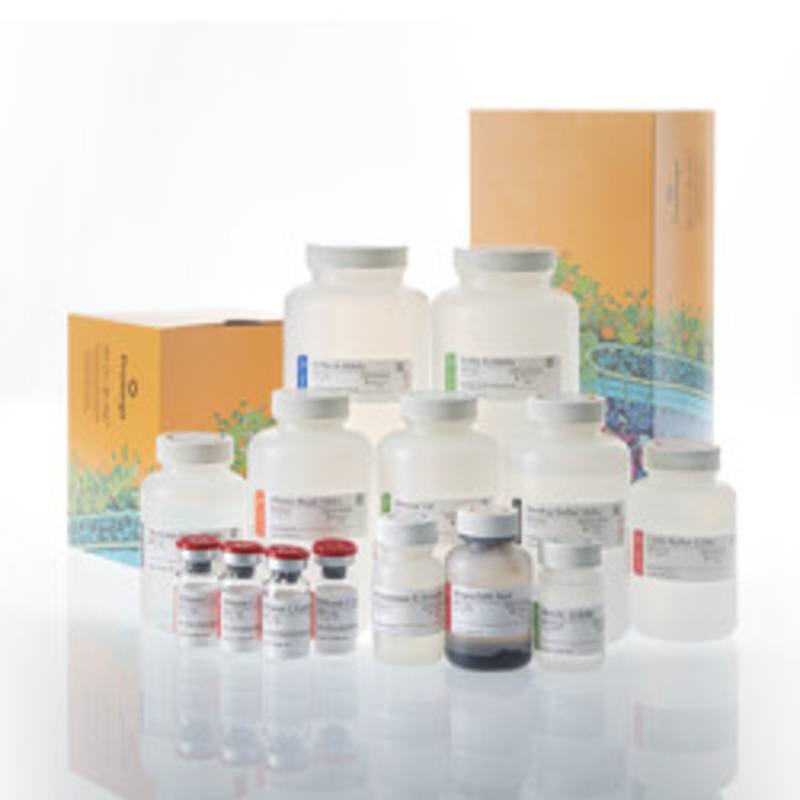 Maxwell(R) HT XtractAll FFPE DNA/RNA Kit, 4 x 96