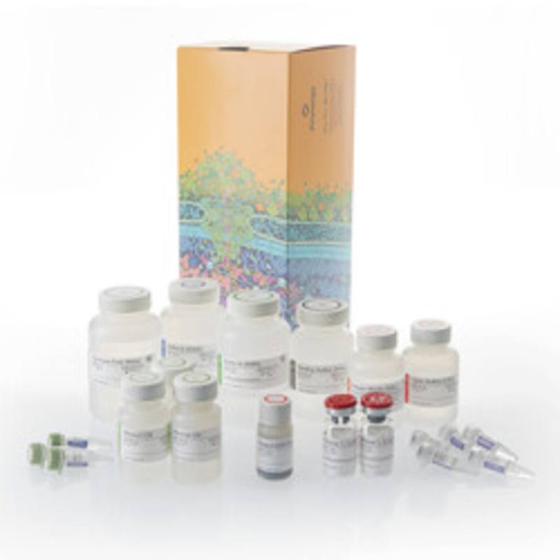 Maxwell(R) HT XtractAll FFPE DNA/RNA Kit, 1 x 96