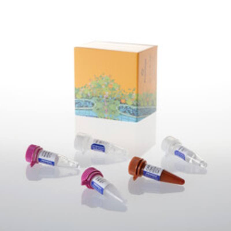 GoTaq(R) Probe qPCR Master Mix, 2ml