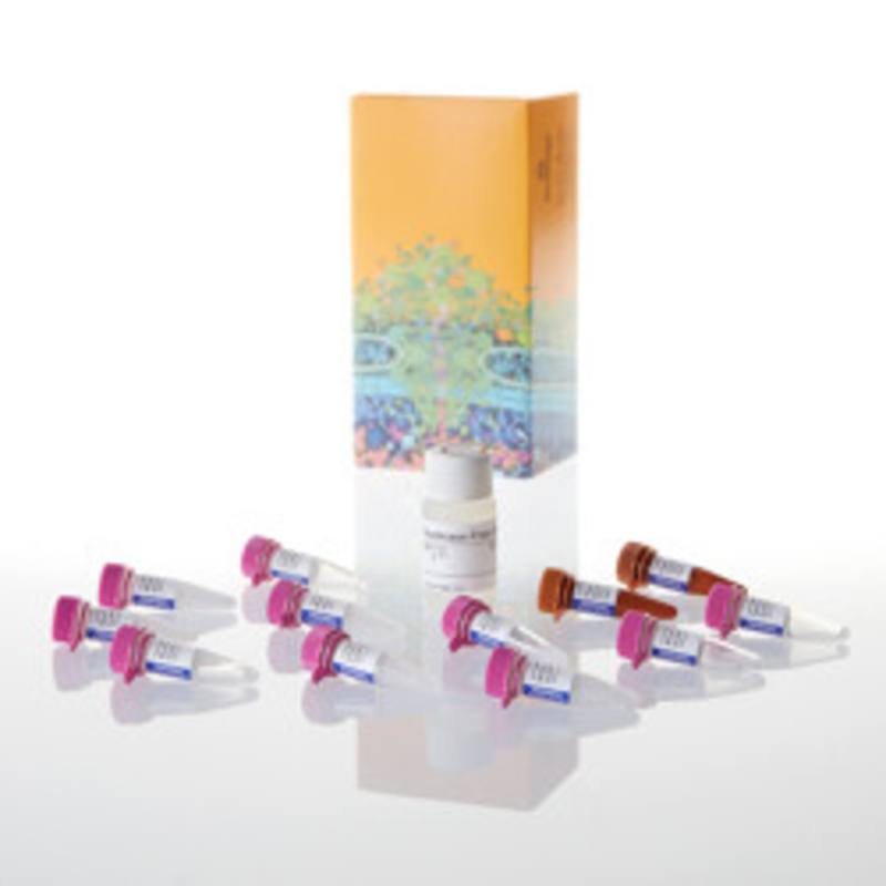GoTaq(R) Probe qPCR Master Mix, 10ml