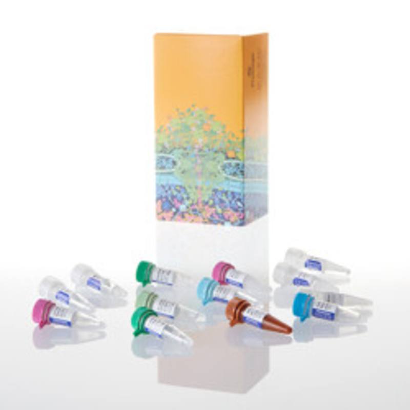 GoTaq(R) Probe 2-Step RT-qPCR System 2ml