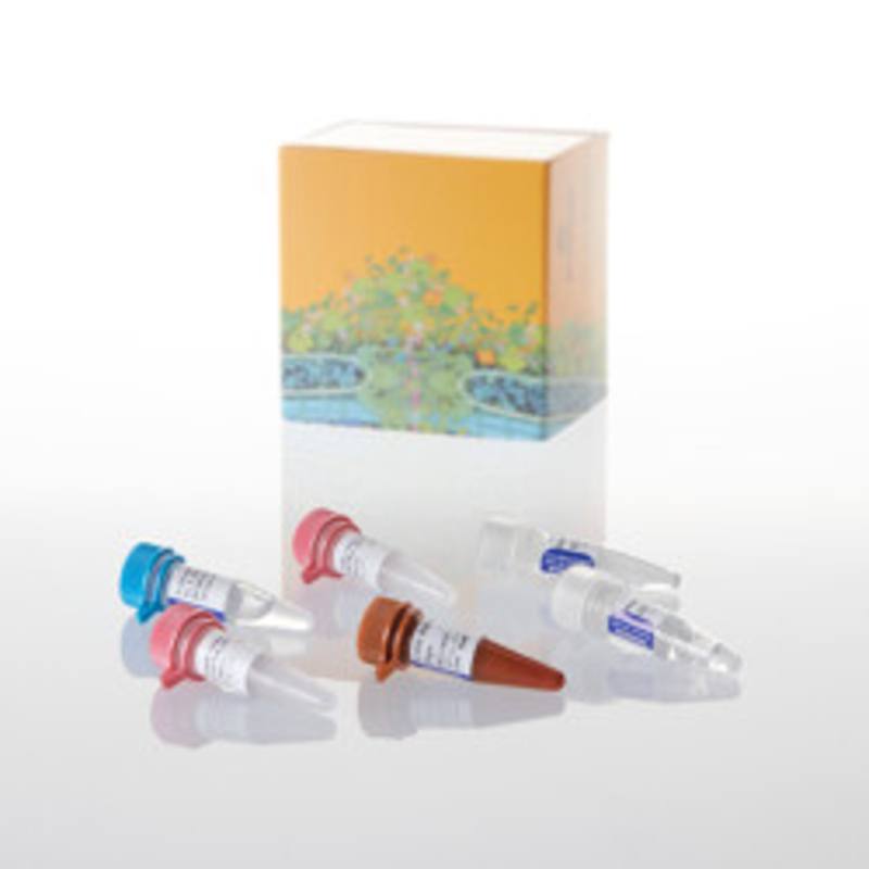 GoTaq(R) Probe 1-Step RT-qPCR System 2ml